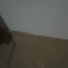 Ugur Demir, 01.03.1987, İstanbul