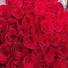 Александр Петербургский, Санкт-Петербург