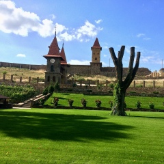 Инна Лебединец, 25.11.1990