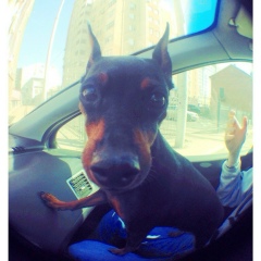 Alexei Asrar, 22.04.1989