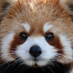 Жулдыз Бозжигитова, 16.06, Алматы