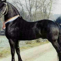 Рома Жумабеков, 03.02.1976, Алматы