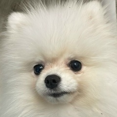 Станислав Буркин, 05.12