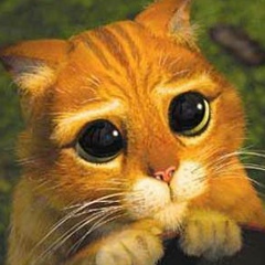 Juan Pablo Romano, 17.01, Buenos Aires