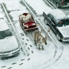 Соня Питерская, 19.06, Санкт-Петербург