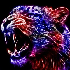 Серый Ярыга, Ярославский