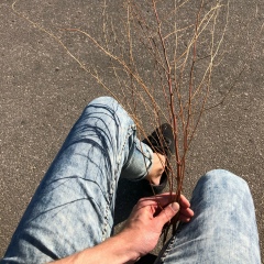 Паша Краснов, 20.06