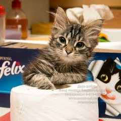 Оксана Викторовна, 25.05.1997