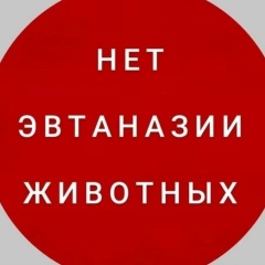 Майя Любимова, Санкт-Петербург