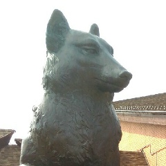 Александр Александрович