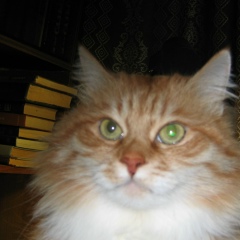 Александр Николаев, 21.03.1957, Иваново (деревня)