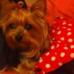 София Камилева, 15.06, Москва