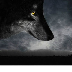 Влад Гармай, 13.08, Мурманск