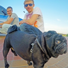 Мирослав Мартынюк, 07.11, Киев