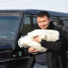 Dinmuhanbet Jusipov, 09.09.1990, Тараз