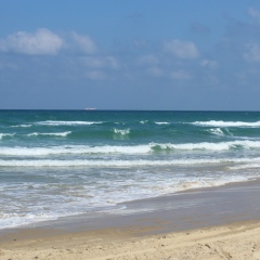 Ирина Куценко, Харьков