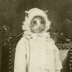 Виктор Перерушев, 21.11, Москва