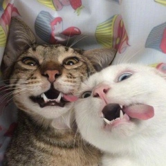 Ксения Петрова, 06.02