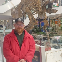 Юрий Литвинцев, Новосибирск