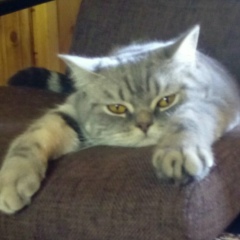 Иван Нахаев, 12.06.2003