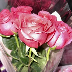 Наз Ерланқызы, 29.12.1993, Алматы