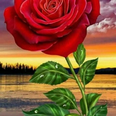 Reham Kalad, Copenhagen