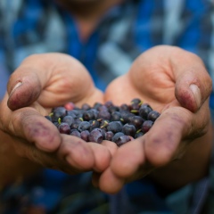 Иван Брежнев, 10.01.1989, Воронеж
