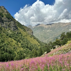 Алексей Мельков, 14.05