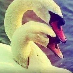 Айжан Тульжанова, 21.10, Алматы