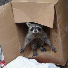 Алексей Большаков, Москва