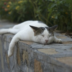 Pavel Tolstow, 07.06, Санкт-Петербург