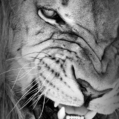 Рауан Рахимжанов, Алматы