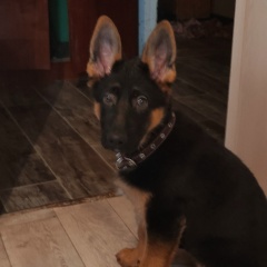 Айнур Рафаилович, 12.03