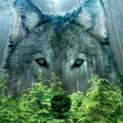 Ибрагим Такаев, 01.09.1994, Грозный