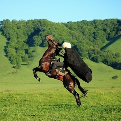 Бислан Ахмадов, 04.09.1994, Грозный