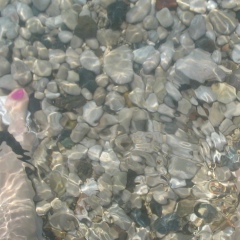 Анеля Гладникова, 21.02, Москва