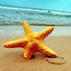 Yuriy Haydukevych, 28.03, Подволочиск