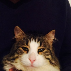 Oryn Tanzharikov, 23.10, Monaco