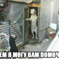 Вячеслав Натанович, 19.05.1984, Москва