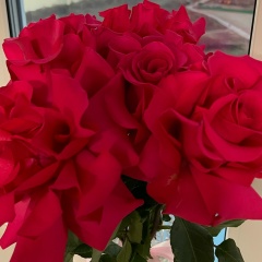 Лилия Коробкова, 24.04.1980, Набережные Челны