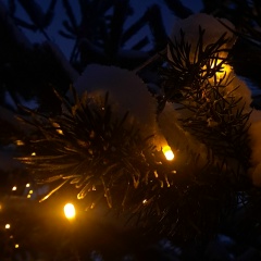 Татьяна Голубкова, Черепово