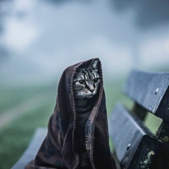 Анна Мельникова, 06.07