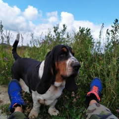 Андрей Овский, 09.10, Санкт-Петербург