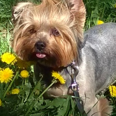 Александр Федоренко, 01.02, Донецк