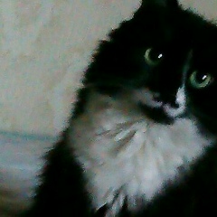 Сергей Чемолосов, 14.06.1958, Харьков