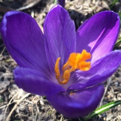 Мария Маковкина, 11.03, Воронеж