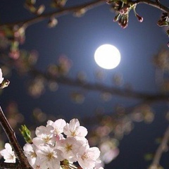 Aisana Seytimova, 08.10.1994, Шымкент