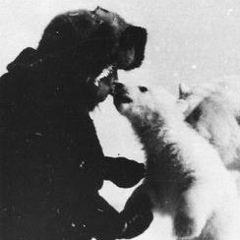 Вовка Творек, 01.12, Ровно