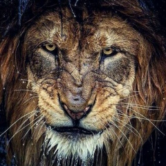 Павел Цуканов, 04.08, Новосибирск