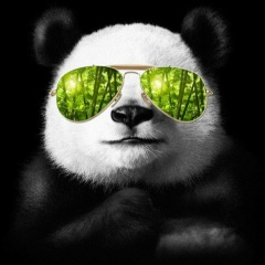 Roman Romanov, 11.01, Ростов-на-Дону